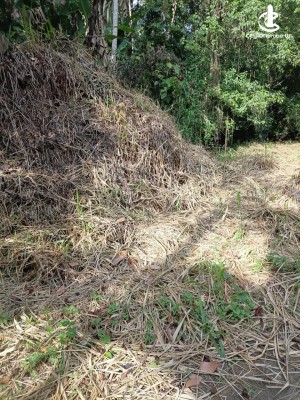 Land for Sale in Katugastota - Land for Sale in Katugasthota