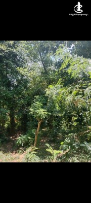 Land for Sale in Kandy - Land for Sale in Kandy