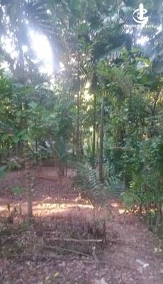 Land for Sale in Pilimatalawa - Land for Sale in Pilimatalawa