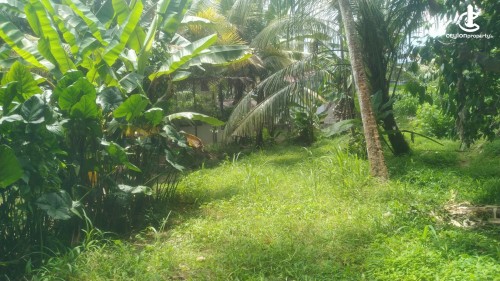 Land for Sale in Katugastota - Land for Sale in Katugasthota