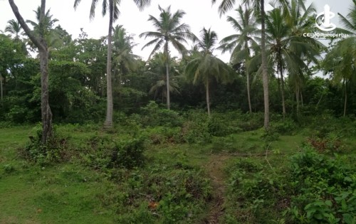 Land for Sale in Hikkaduwa - Land for Sale in Hikkaduwa