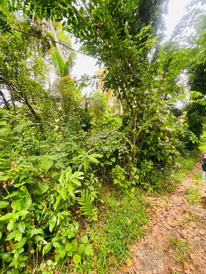 Land for Sale in Kalutara - Land for Sale in Kalutara