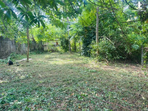 Land for Sale in Ragama - Land for Sale in Ragama