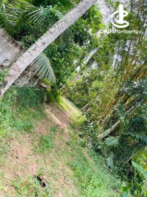 Land for Sale in Kadawatha - Land for Sale in Kadawatha