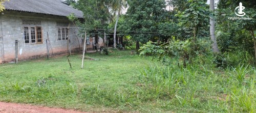Land for Sale in Minuwangoda - Land for Sale in Minuwangoda
