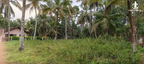 Land for Sale in Minuwangoda - Land for Sale in Minuwangoda