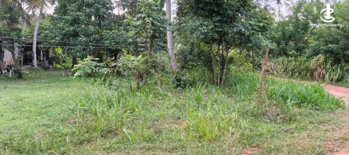 Land for Sale in Minuwangoda - Land for Sale in Minuwangoda