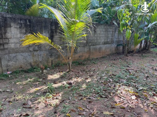 Land for Sale in Matara - Land for Sale in Matara