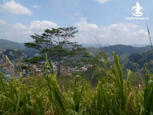 Land for Sale in Kandy - Land for Sale in Kandy