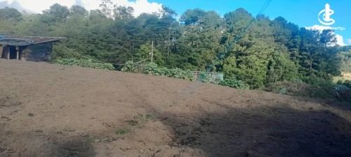 Land for Sale in Nuwara Eliya - Land for Sale in Niwara Eliya