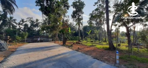 Land for Sale in Pilimatalawa - Land for Sale in Pilimatalawa