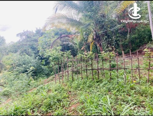 Land for Sale in Kandy - Land for Sale in Kandy