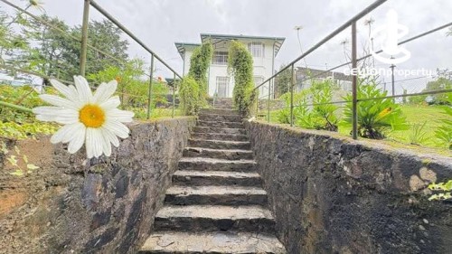 Other for Sale in Nuwara Eliya - Hotel for sale in Nuwara Eliya