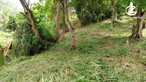Land for Sale in Kandy - Land for Sale in Kandy