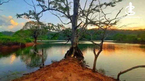 Land for Sale in Matale - Land for Sale in Matale