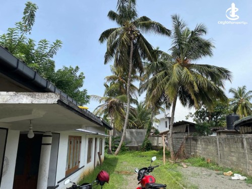 Land for Sale in Tangalla - Land for Sale in Tangalla