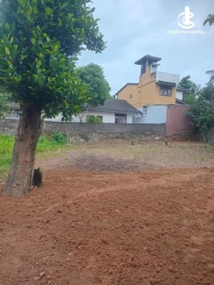 Land for Sale in Pannipitiya - Land for Sale in Pannipitiya