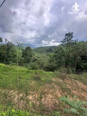 Land for Sale in Deraniyagala - Land for Sale in Deraniyagala