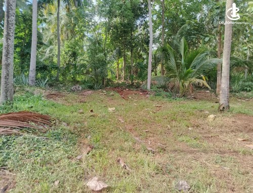 Land for Sale in Hambantota - Land for Sale in Hambantota
