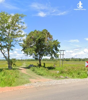 Land for Sale in Hambantota - Land for Sale in Hambantota
