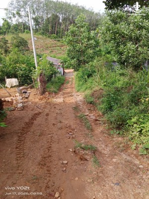 Land for Sale in Kuruwita - Land for Sale in Kuruwita