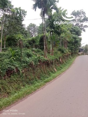 Land for Sale in Kuruwita - Land for Sale in Kuruwita – Pathagama / Gorakaela Area