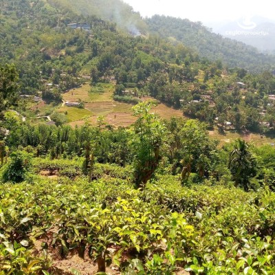 Land for Sale in Bandarawela - Land for Sale in Bandarawela, Near Ella