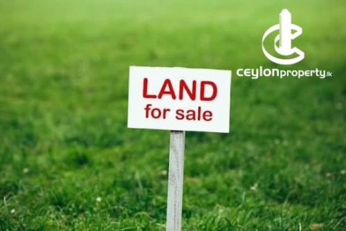 Land for Sale in Wattala - Land for Sale – Cherry Land, Wattala
