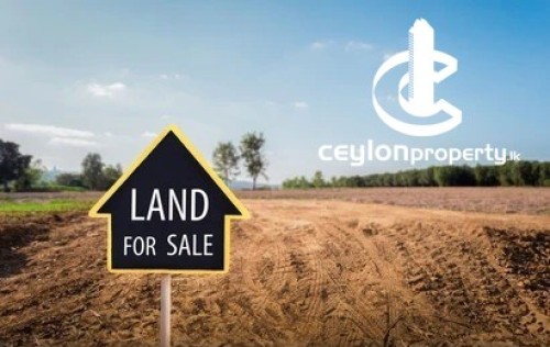 Land for Sale in Wattala - Land for Sale – Alwis Town, Wattala