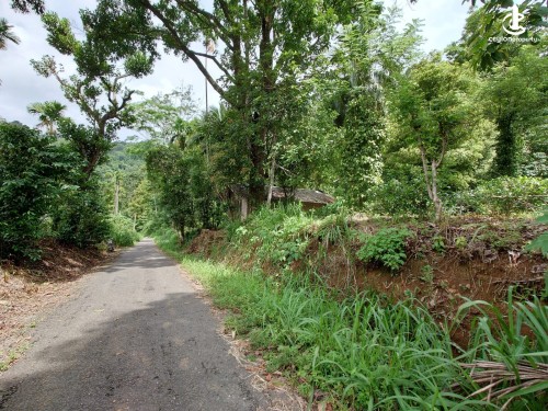 Land for Sale in Kandy - A UNIQUE TOURISM INVESTMENT OPPORTUNITY IN BALANA, KANDY