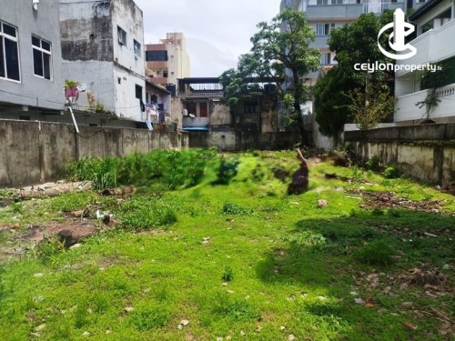 Land for Sale in Colombo 6 (Wellawatta,Pamankada,Kirulapona South) - 37 Perches Commercial Land For Sale in Colombo 06 - CP3…