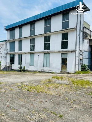 Commercial Property for Rent in Colombo 5 (Narahenpita,Havelock Town,Kirulapona North) - 35 Perches Prime Commerical Propert…