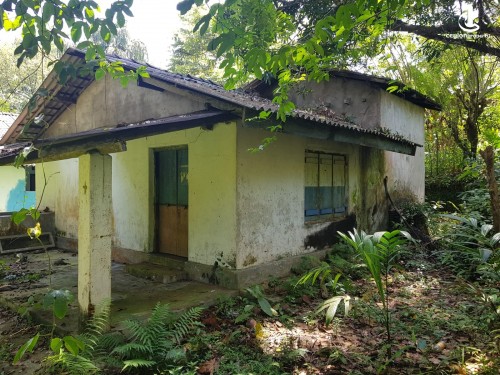 Land for Sale in Kalutara - 25 Acres - Agricultural land For Sale in Kalutara - CP35549