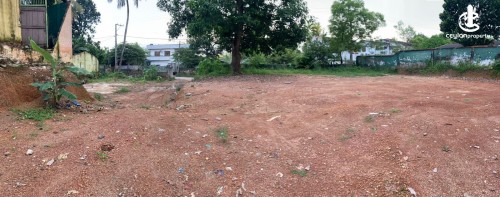 Land for Sale in Wattala - 40 Perches - Commercial Land for Sale in Wattala - CP35748