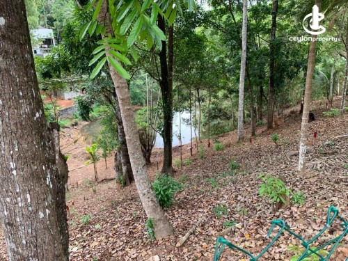 Land for Sale in Pilimatalawa - 149.8 Perch Land for Sale in Pilimathalawa