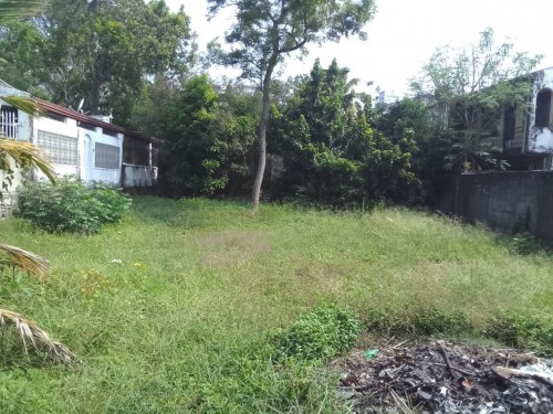 Land for Sale in Kalubowila - 16 Perch Land for Sale at Temple Road, Kalubowila