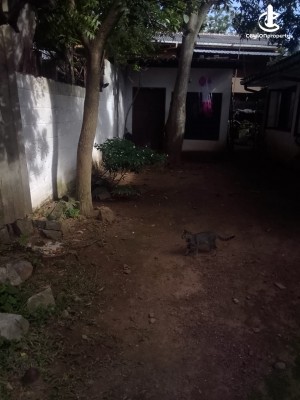 Land for Sale in Nugegoda - 10 Perch Land with a Livable House for Sale in Nugegoda