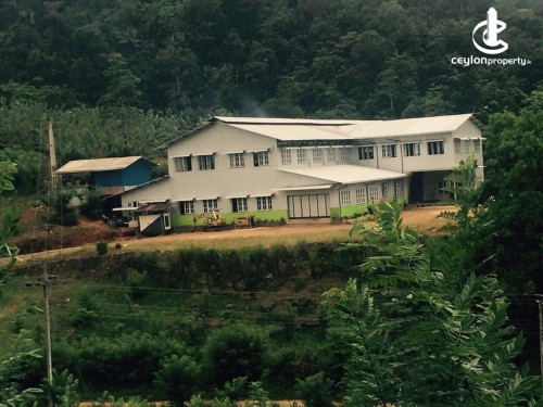 Commercial Property for Sale in Kithulgala - Running Tea Factory with 02 Bungalows for Sale In Kithulgala