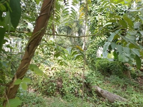 Land for Sale in Pita Kotte - 18.6 Perch Land for Sale on Ananda Balika Mw, Pita Kotte