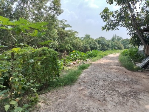 Land for Sale in Sri Jayawardenepura Kotte - 12 P Land with an Old House for Sale in Kotte, Kimbulawela