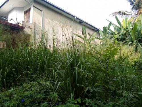 Land for Sale in Pita Kotte - 7.5 Perch Land for Sale at Baddegana, Kotte