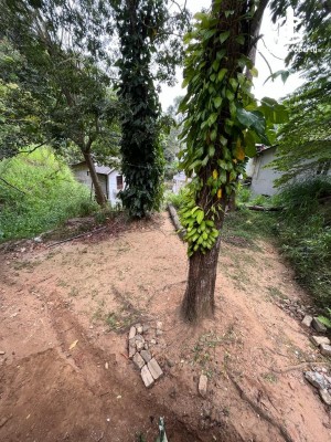 Land for Sale in Kandy - 11.5 Perch Prime Land for Sale on Sangamitta Mawatha, Kandy