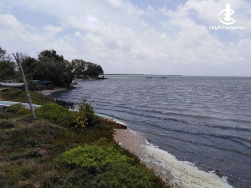 Land for Sale in Puttalam - 11 Acres of Land for Sale on Mannar Road, Puttalam
