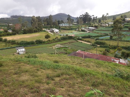 Land for Sale in Nuwara Eliya - 40 Perch Land for Sale at Shanthipura, Nuwara Eliya