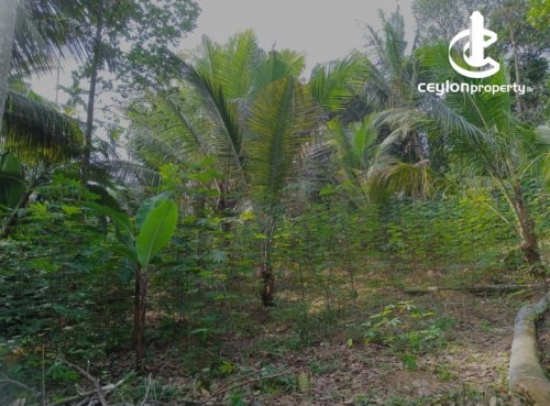 Land for Sale in Homagama - 32 Perch Land for Sale at Lenagala, Homagama