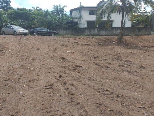 Land for Sale in Hokandara - 51 Perch Land for Sale at Hokandara, Off Wanaguru Mawatha
