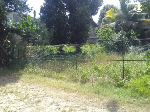 Land for Sale in Colombo 5 (Narahenpita,Havelock Town,Kirulapona North) - 11 Perch Land for Sale at Kirulapone, Colombo 05