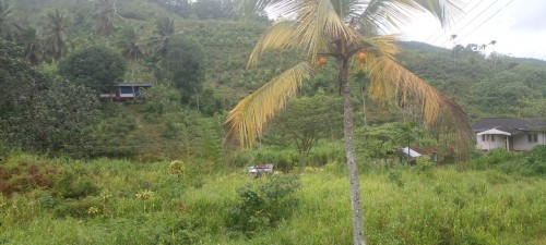 Land for Sale in Kalawana - 22 Acres of Tea Land for Sale in Kalawana