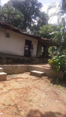 Land for Sale in Kalawana - 50 Acres of Tea Plantation for Sale in Kalawana