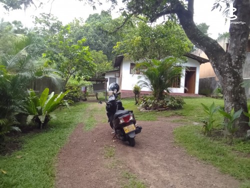 Land for Sale in Maharagama - 16.5 Perch Land with an Old House for Sale in Maharagama